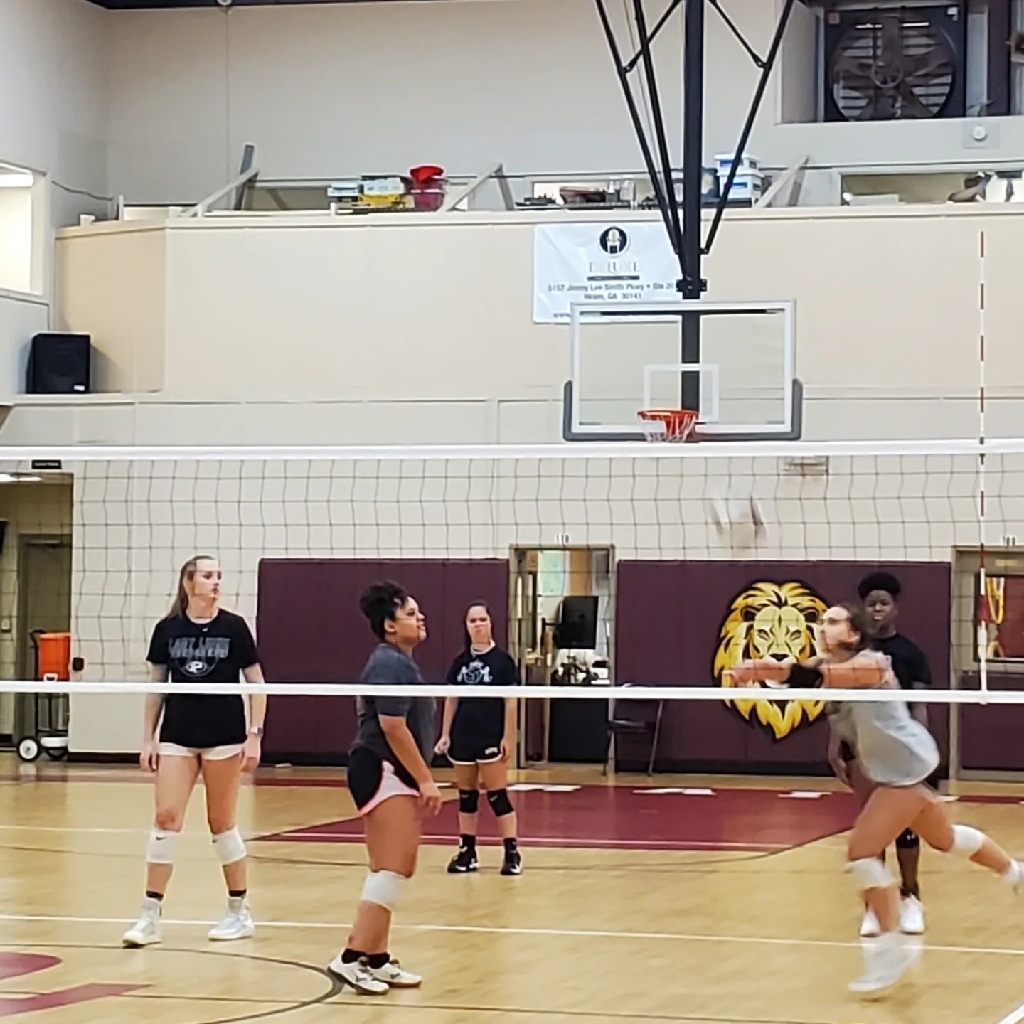 vb