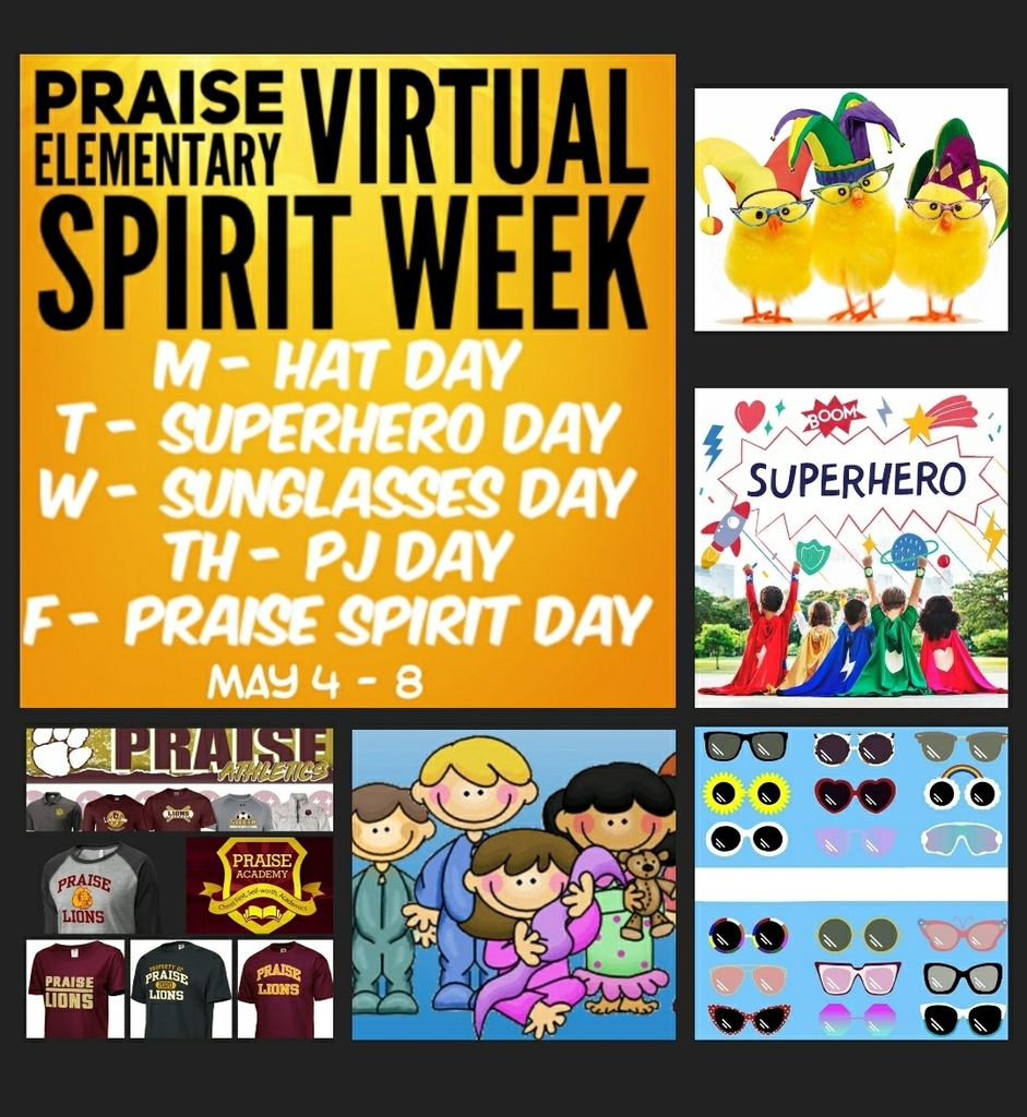 Virtual Spirit Week 